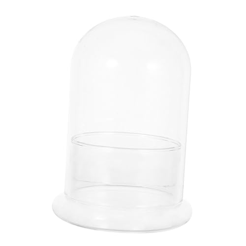 Toddmomy Glass Cloche Terrarium Jar Geschlossenes DIY Mini-Landschaftsgefäß für Moos Hydroponik Zimmerpflanzen Kompakter Pflanzentopf für Schreibtisch Dekoration von Toddmomy