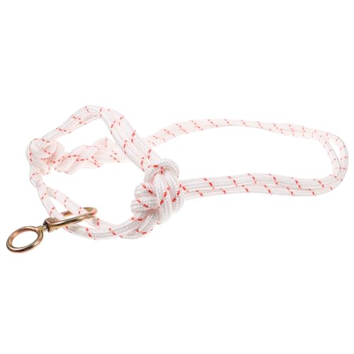 Toddmomy Halter für Rinder Einstellbarer und Tragbarer Kopfhalfter Leichtem Material Handgefertigtes Zubehör für Kühe und Komfortabel Anwendung Toddmomy Halter für Rinder Einstellbarer und Tragbarer Kopfhalfter Leichtem Material Handgefertigtes Zubehör für Kühe und Komfortabel Anwendung von Toddmomy