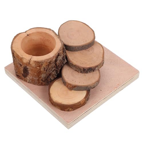 Toddmomy Hamster Holz Kletterspielzeug mit Futter Schale Plattform Leiter für Kleintiere für Hamsterkäfige Fördert Spiel Spaß Gesundes Klettern und Kauvergnügen Toddmomy Hamster Holz Kletterspielzeug mit Futter Schale Plattform Leiter für Kleintiere für Hamsterkäfige Fördert Spiel Spaß Gesundes Klettern und Kauvergnügen von Toddmomy