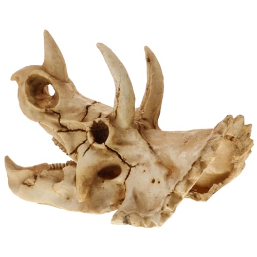 Toddmomy Harz Schädel Ornament für Fischtank Dekorative Versteckhöhle für Garnelen Schildkröten und Reptilien Naturgetreue Aquarium Dekoration für Terrarien Toddmomy Harz Schädel Ornament für Fischtank Dekorative Versteckhöhle für Garnelen Schildkröten und Reptilien Naturgetreue Aquarium Dekoration für Terrarien von Toddmomy