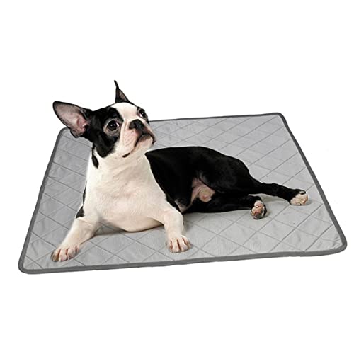 Toddmomy Kühlendes Hundekissen für Haustiermatten – Wasserabsorbierend für Den Ruhebereich Von Haustieren Toddmomy Kühlendes Hundekissen für Haustiermatten – Wasserabsorbierend für Den Ruhebereich Von Haustieren von Toddmomy