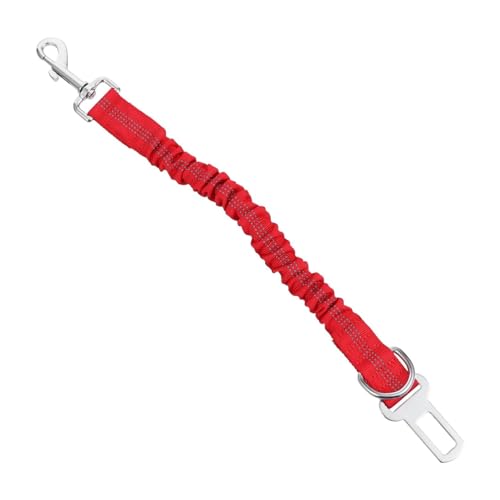 Toddmomy Haustier Leine Elastisch Reflektierend Verstellbare Hundeleine für Sicheres Nachtwandern und Training für Outdoor Aktivitäten von Toddmomy