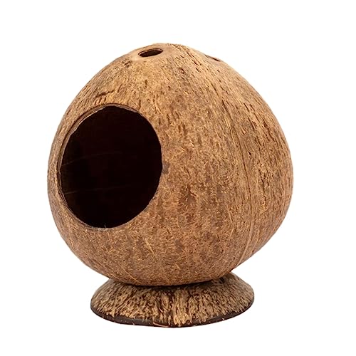 Toddmomy Kleines Haustier Schlafhaus Warmes Hamster Nest Bissfestes Hamster-zubehör Für Winter Gemütlicher Rückzugsort Für Kaninchen Und Kleine Tiere Toddmomy Kleines Haustier Schlafhaus Warmes Hamster Nest Bissfestes Hamster-zubehör Für Winter Gemütlicher Rückzugsort Für Kaninchen Und Kleine Tiere von Toddmomy