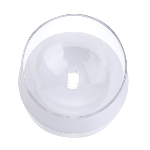 Toddmomy Einstellbare Katzenfutter Und Wassernapf Mit Rutschfester Basis Abnehmbar Und Leicht Zu Reinigen Ergonomische Futterstation Für Haustiere Geeignet Für Kleine Katzen Und Hunde Toddmomy Einstellbare Katzenfutter Und Wassernapf Mit Rutschfester Basis Abnehmbar Und Leicht Zu Reinigen Ergonomische Futterstation Für Haustiere Geeignet Für Kleine Katzen Und Hunde von Toddmomy