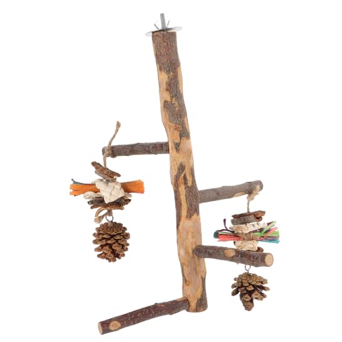 Toddmomy Holz Vogel sitzstange Parrot Stand aus Robustem Holz für Papageien Wellensittiche Käfigzubehör mit Natürlicher Oberfläche für Krallenpflege und Balancetraining Geeignet für von Toddmomy