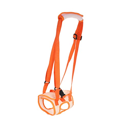 Toddmomy Haustier-gehhilfe Hundehinterbein-stützgürtel Rehabilitationsgürtel Für Behinderte Haustiere Toddmomy Haustier-gehhilfe Hundehinterbein-stützgürtel Rehabilitationsgürtel Für Behinderte Haustiere von Toddmomy