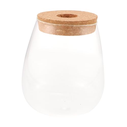 Toddmomy Hydroponische Glasflasche DIY Pflanzenflasche für Mikrolandschaft Terrarium Design für Innen und Außendekorationen Kompakte und Langlebige Lösung für Pflanzenliebhaber Toddmomy Hydroponische Glasflasche DIY Pflanzenflasche für Mikrolandschaft Terrarium Design für Innen und Außendekorationen Kompakte und Langlebige Lösung für Pflanzenliebhaber von Toddmomy