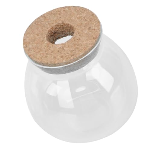 Toddmomy -landschaftsflasche Aus Glas Transparente Tisch-Dekoration Terrarien Für Sukkulenten Und Moos Robustes Design Für Zuhause Und Büro von Toddmomy