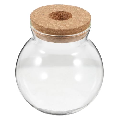 Toddmomy Hydroponisches Glaskaraffe Transparente Runde Glasflasche mit Korkdeckel für Pflanzenvermehrung Sukkulenten Moos und Dekoration im Wohnzimmer oder Büro von Toddmomy