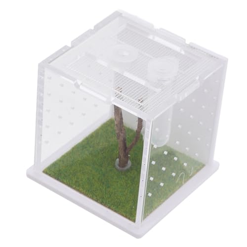 Toddmomy Klares Springspinnen Terrarium aus mit Belüftungslöchern Kleines Zuchtgehäuse für Spinnen und Insekten Aufbewahrungs und Fütterungsbox für Reptilien und Kleine Haustiere Toddmomy Klares Springspinnen Terrarium aus mit Belüftungslöchern Kleines Zuchtgehäuse für Spinnen und Insekten Aufbewahrungs und Fütterungsbox für Reptilien und Kleine Haustiere von Toddmomy