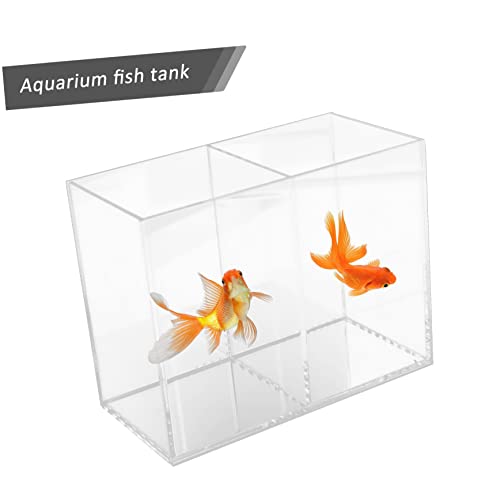 Toddmomy Kleines Aquarium Fischglas Transparenter Desktop Fischtank Rechteckiger Nano Betta Tank für Dekoration Robust und Bruchsicher für Zuhause Büro Shop und Party Toddmomy Kleines Aquarium Fischglas Transparenter Desktop Fischtank Rechteckiger Nano Betta Tank für Dekoration Robust und Bruchsicher für Zuhause Büro Shop und Party von Toddmomy