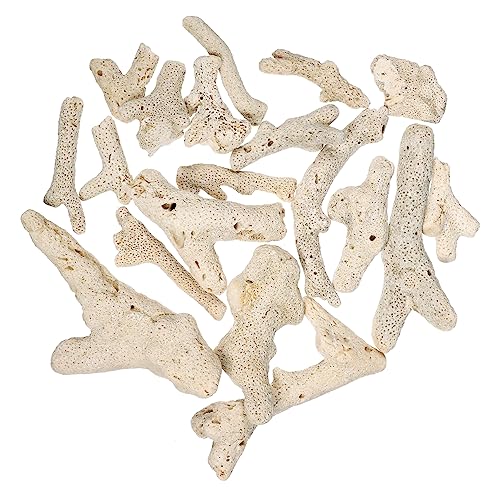 Toddmomy Korallensteinbodensand gemahlen etager Aquarium algen Aquarium-Kies naturvibes Cooler Behälter Besonderheit sehr natürlicher Schotter Filtermaterial für Fischbecken Korallenknochen Toddmomy Korallensteinbodensand gemahlen etager Aquarium algen Aquarium-Kies naturvibes Cooler Behälter Besonderheit sehr natürlicher Schotter Filtermaterial für Fischbecken Korallenknochen von Toddmomy