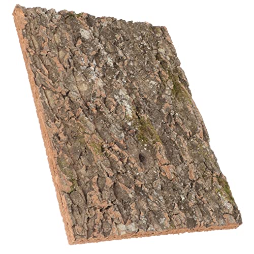 Toddmomy Korkrinde Dekoration Für Terrarien Hochwertige Kork Rinde Für Reptilien Und Ruhen Sicher Für Schildkröten Eidechsen Und Andere Reptilien von Toddmomy