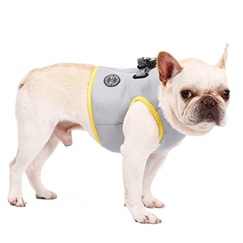 Toddmomy Sommer Hundekühlweste Für Haustiere Atmungsaktive Kühlende Brust Und Rückenweste Für Hunde Und Welpen Für Und Outdoor-aktivitäten von Toddmomy