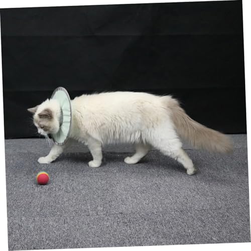 Toddmomy Leichter Atmungsaktiver Wasserdichter Katzen halskragen Verstellbar Schützend nach Operation Komfortabel Rundes Design Grün Anti leck Schutz für Katzenwunden Toddmomy Leichter Atmungsaktiver Wasserdichter Katzen halskragen Verstellbar Schützend nach Operation Komfortabel Rundes Design Grün Anti leck Schutz für Katzenwunden von Toddmomy