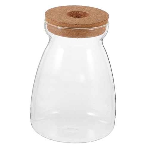 Toddmomy Glas Pflanzenvermehrungsstation Mit Korkdeckel Hydroponisches Desktop-Terrarium Für Miniaturpflanzen Und Betta-Fische Stilvolle Tischdekoration Für Jedes Zuhause Toddmomy Glas Pflanzenvermehrungsstation Mit Korkdeckel Hydroponisches Desktop-Terrarium Für Miniaturpflanzen Und Betta-Fische Stilvolle Tischdekoration Für Jedes Zuhause von Toddmomy