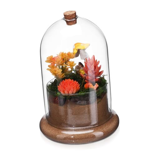 Toddmomy Mikrolandschaftsmoosbedeckung Glocke Pflanze Terrarium Kuppel Moos Landschaft Container Terrarientisch Mini Kuchenkuppeln Terrarium-kit Getrocknetes Moos Klare Displaykuppel Glas Toddmomy Mikrolandschaftsmoosbedeckung Glocke Pflanze Terrarium Kuppel Moos Landschaft Container Terrarientisch Mini Kuchenkuppeln Terrarium-kit Getrocknetes Moos Klare Displaykuppel Glas von Toddmomy