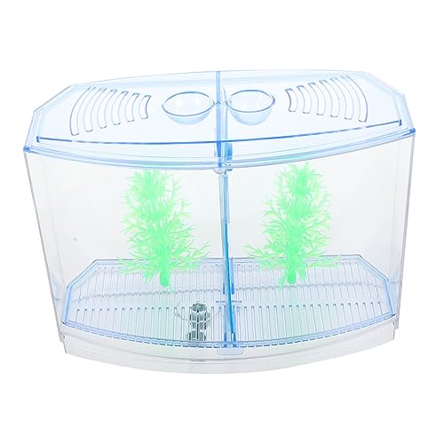 Toddmomy Mini Aquarium für Zuhause Transparentes Fischbecken mit LED Beleuchtung für Goldfische und Pflanzen für Dekoration und Bastelprojekte Kompakt und Elegant für Tisch und Hochzeiten Toddmomy Mini Aquarium für Zuhause Transparentes Fischbecken mit LED Beleuchtung für Goldfische und Pflanzen für Dekoration und Bastelprojekte Kompakt und Elegant für Tisch und Hochzeiten von Toddmomy