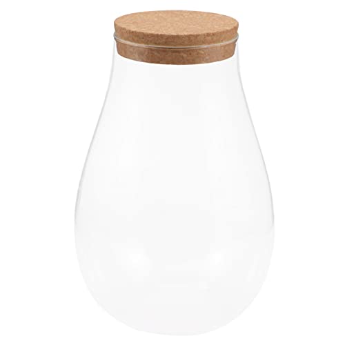 Toddmomy Moos-öko-Flasche Ökologische Mikrolandschaftsflasche Fisch Terrarienflasche Pflanze Terrarium Glas Mini Pflanzgefäße Für Zimmerpflanzen Klein Terrarienglas Hölzern Toddmomy Moos-öko-Flasche Ökologische Mikrolandschaftsflasche Fisch Terrarienflasche Pflanze Terrarium Glas Mini Pflanzgefäße Für Zimmerpflanzen Klein Terrarienglas Hölzern von Toddmomy