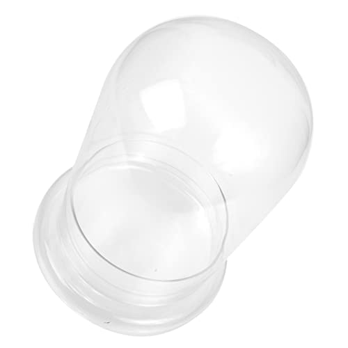 Toddmomy Moos-öko-Flasche Terrarien Terrarium Flaschen Botanisches Vase Anlage Pflanzenbehälter Aus Moos Leer Dekorativer Mikro-landschaftsbehälter Dekorative Flasche Glas Transparent von Toddmomy