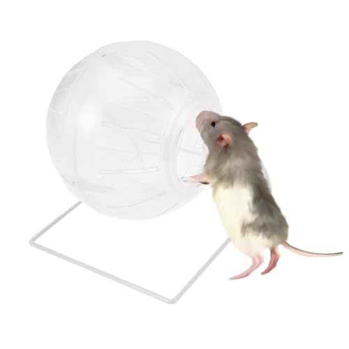 Toddmomy Multifunktionaler Hamsterlaufball mit Ständer Übungs und Spielkugel für Hamster und Kleine Haustiere Transparenter Sicherer für Aktives Training und Beschäftigung von Toddmomy