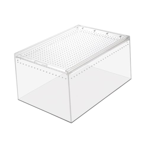Toddmomy Multifunktionaler Transparenter Reptilienkäfig Haustiervorbereitung für Frösche Spinnen Schlangen und Wetterbeständig Reinigen Toddmomy Multifunktionaler Transparenter Reptilienkäfig Haustiervorbereitung für Frösche Spinnen Schlangen und Wetterbeständig Reinigen von Toddmomy