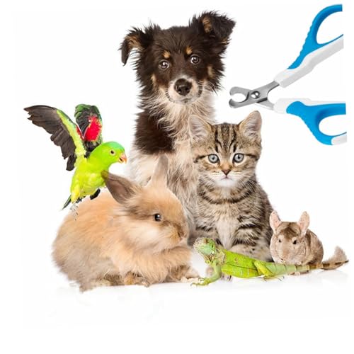 Toddmomy Nagelknipser für Hunde Haustiertrimmer für Katzen Clipper Kratzer Schermaschinen sicherheits nagelzange Sicherer Nagelknipser nagelhautzange Nagelknipser für Katzen Toddmomy Nagelknipser für Hunde Haustiertrimmer für Katzen Clipper Kratzer Schermaschinen sicherheits nagelzange Sicherer Nagelknipser nagelhautzange Nagelknipser für Katzen von Toddmomy