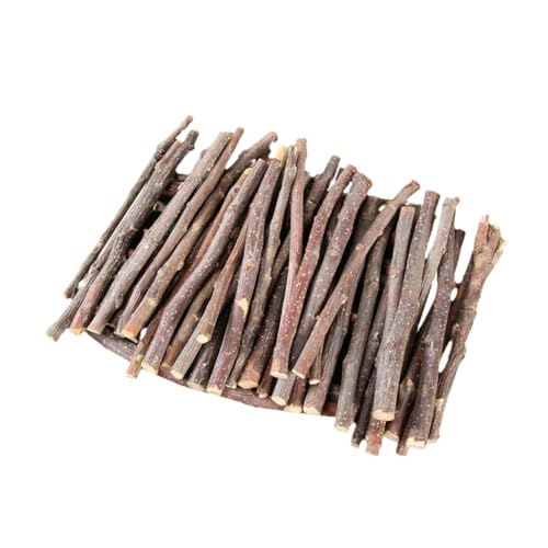 Toddmomy 200g Spielzeug Aus Apfelholz Für Kleintiere Beißspielzeug Für Hamster Kaninchen Und Chinchillas Kauspielzeug Zur Zahnpflege Natürliches Spielzeug Für Meerschweinchen Und Toddmomy 200g Spielzeug Aus Apfelholz Für Kleintiere Beißspielzeug Für Hamster Kaninchen Und Chinchillas Kauspielzeug Zur Zahnpflege Natürliches Spielzeug Für Meerschweinchen Und von Toddmomy