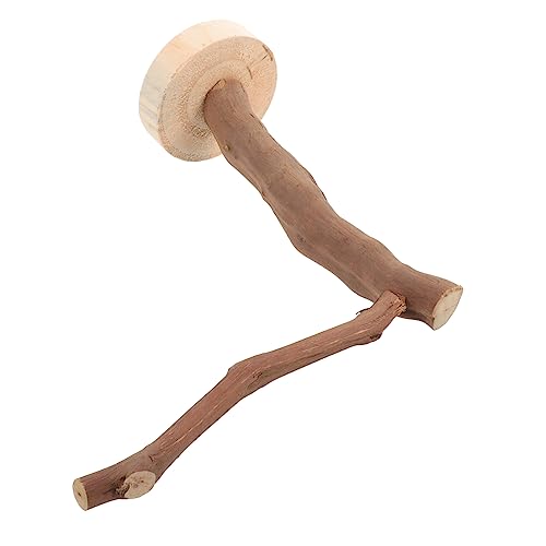 Toddmomy Natürliche Vogelstandstange aus Robustem Sicherer für Kleine Vögel und Papageien Hoher Kletter und Kratzspielplatz für Käfige Fördert Bewegung und Wohlbefinden von Toddmomy
