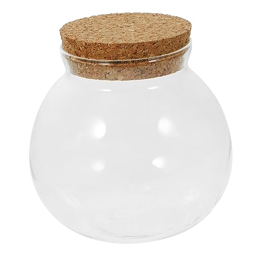 Toddmomy Öko-Flaschenornamente saftig drinnen Landschaft Flasche Terrarium Terrarienglas groß klein Vase Micro-Landschafts-DIY-Flasche Pflanzenbehälter selber Machen Eiche von Toddmomy