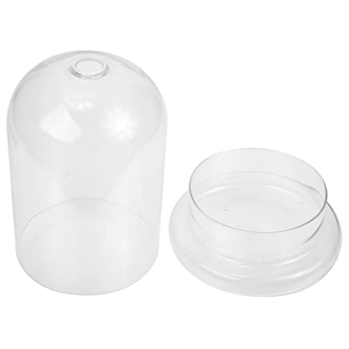 Toddmomy Moosflasche Pflanzenbehälter Glas Terrarium Landschaftsbau Für Wohnkultur von Toddmomy