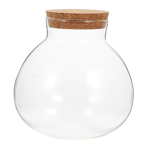 Toddmomy Ökologische Mikrolandschaftsflasche dekoratives Glas Versiegelter Glasbehälter Moosglas Terrarium mit Deckel Dekorationsglas Terrarium Knospenvase Nachrichtenglas Kork Transparent Toddmomy Ökologische Mikrolandschaftsflasche dekoratives Glas Versiegelter Glasbehälter Moosglas Terrarium mit Deckel Dekorationsglas Terrarium Knospenvase Nachrichtenglas Kork Transparent von Toddmomy