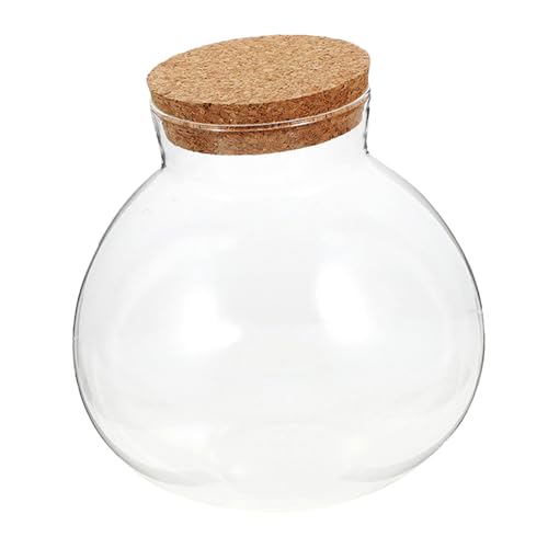 Toddmomy Ökologische Mikrolandschaftsflasche rundes Terrarienglas saftiges Terrarium Terrarium-Displayglas Glasflasche Knospenvase Versiegelter Glasbehälter saftiges Glas Kork Transparent Toddmomy Ökologische Mikrolandschaftsflasche rundes Terrarienglas saftiges Terrarium Terrarium-Displayglas Glasflasche Knospenvase Versiegelter Glasbehälter saftiges Glas Kork Transparent von Toddmomy