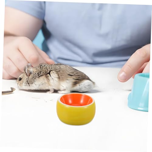 Toddmomy Orange Design Schüssel für Kleine Tiere für Hamster Kaninchen Meerschweinchen Langlebig und Leicht zu Reinigen Toddmomy Orange Design Schüssel für Kleine Tiere für Hamster Kaninchen Meerschweinchen Langlebig und Leicht zu Reinigen von Toddmomy