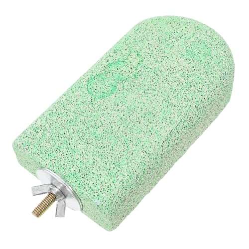 Toddmomy Papagei Backzahn Stein Papageienmolarspielzeug Papageienbarsch Flache Vogelstange Sitzstangen Für Sittiche Vogelplattformen Vogel Plattform Barsch Kalziumstein Light Green von Toddmomy