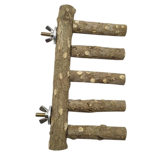 Toddmomy Papageien Sitzstand Aus Naturholz Klettergerüst Für Vögel Spielzeug Für Wellensittiche Stabiler Vogelständer Balance Und Koordination Erforderlich Toddmomy Papageien Sitzstand Aus Naturholz Klettergerüst Für Vögel Spielzeug Für Wellensittiche Stabiler Vogelständer Balance Und Koordination Erforderlich von Toddmomy