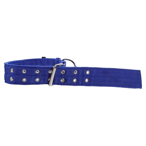 Toddmomy Pet aus Baumwollfaser Verstellbares für Hunde und Bequemes Langlebiges Haustierhalsband Geeignet für Kleine und Mittelgroße Tiere Blau XL Toddmomy Pet aus Baumwollfaser Verstellbares für Hunde und Bequemes Langlebiges Haustierhalsband Geeignet für Kleine und Mittelgroße Tiere Blau XL von Toddmomy