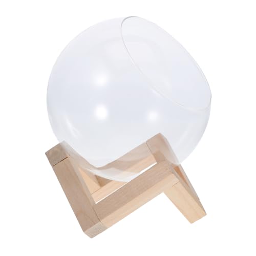 Toddmomy Pflanzenterrarium Sandbad Für Hamster Pflanzen -Terrarium -kit Mikro-landschaftsvase Terrarienglas Hydroponische Vase Terrarienset Glass Globe Netter Pflanzer Holz Transparent von Toddmomy