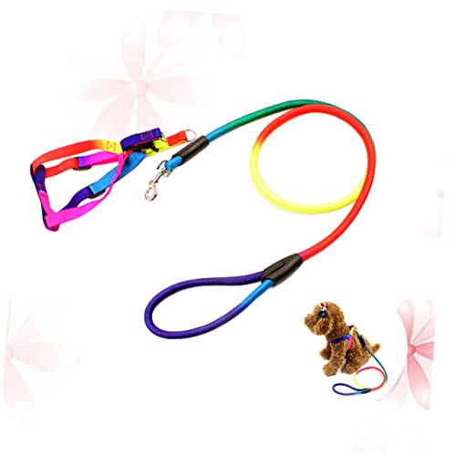 Toddmomy Regenbogenfarbenes Hundegeschirr und Leine für Kleine bis Große Verstellbar Strapazierfähiges für und Training Haustierbedarf von Toddmomy