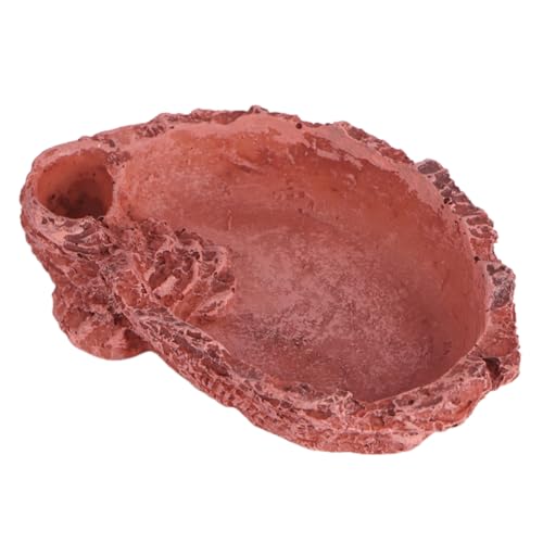 Toddmomy Reptilien Futter und Wasserschale aus Resin Dunkelrot mit Niedrigem Schwerpunkt Stabile und Sichere Futterstation für Geckos Echsen und Schildkröten Dekoratives Terrarienzubehör Toddmomy Reptilien Futter und Wasserschale aus Resin Dunkelrot mit Niedrigem Schwerpunkt Stabile und Sichere Futterstation für Geckos Echsen und Schildkröten Dekoratives Terrarienzubehör von Toddmomy