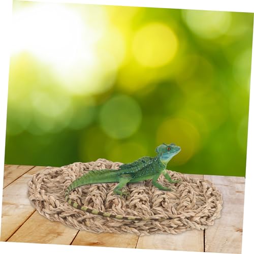 Toddmomy Reptilien Kletternetz Matte aus Sicherem Stroh Strapazierfähiges Lounge Kissen für Bartagamen und Eidechsen Atmungsaktives Mesh Pad für Vertikale Terrarienbereiche Toddmomy Reptilien Kletternetz Matte aus Sicherem Stroh Strapazierfähiges Lounge Kissen für Bartagamen und Eidechsen Atmungsaktives Mesh Pad für Vertikale Terrarienbereiche von Toddmomy