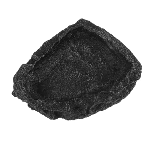 Toddmomy Reptilien Wassernapf Aus Resin Futternapf Für Eidechsen Und Schildkröten Und Langlebig Für Tierhaltung von Toddmomy