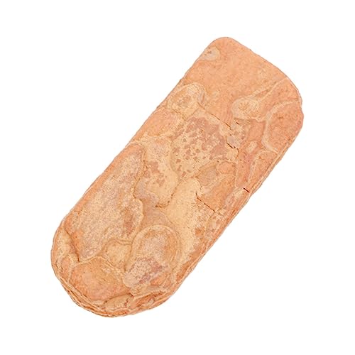 Toddmomy Reptilienbox Rindenmatte aus Natürlicher Pinienrinde Langlebig und Sicher Dekoratives Kletter und Ruhepad für Kleine Schildkröten Eidechsen Schnecken und Chamäleons Natürliches von Toddmomy
