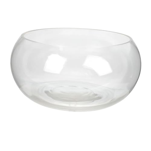 Toddmomy Runde Glasfischschale Für Aquarium Schüssel Für Den Schreibtisch Dekoration Für Zuhause Und Büro Toddmomy Runde Glasfischschale Für Aquarium Schüssel Für Den Schreibtisch Dekoration Für Zuhause Und Büro von Toddmomy