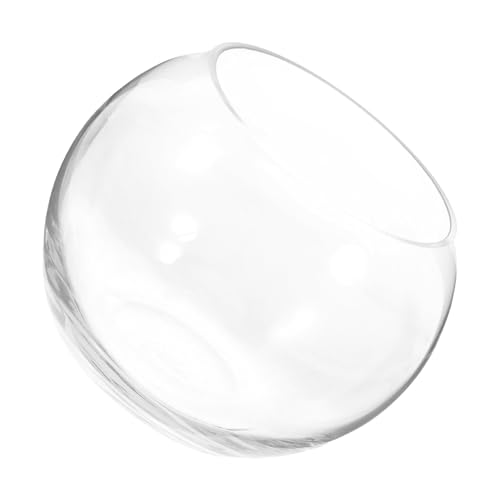 Toddmomy Runder Glasfischbowl Für Pflanzen Transparente Terrarium-vase Für Hydroponik Dekorative Schale Für Und Büro Stilvolles Tischdekor Für Fische Und Pflanzen Toddmomy Runder Glasfischbowl Für Pflanzen Transparente Terrarium-vase Für Hydroponik Dekorative Schale Für Und Büro Stilvolles Tischdekor Für Fische Und Pflanzen von Toddmomy