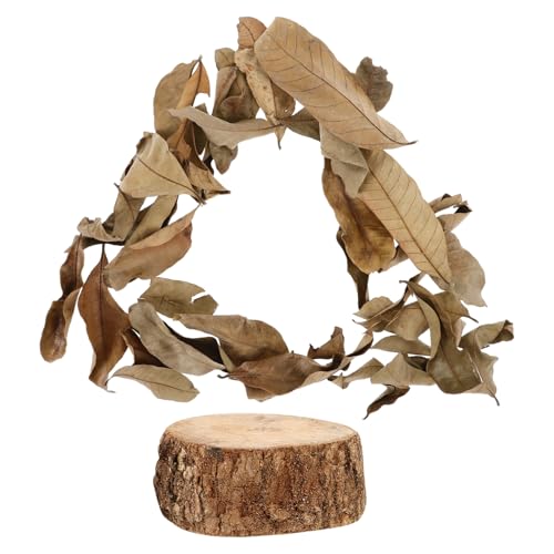 Toddmomy Schildkrötenbecken aus Longan-Holz Sonnenvorsprung Reptil Sonnenterrasse Aquarium Dekoration Terrarium zubehör Holz Dekoration Schildkrötenplattform Schildkröten-Dekore hölzern Toddmomy Schildkrötenbecken aus Longan-Holz Sonnenvorsprung Reptil Sonnenterrasse Aquarium Dekoration Terrarium zubehör Holz Dekoration Schildkrötenplattform Schildkröten-Dekore hölzern von Toddmomy