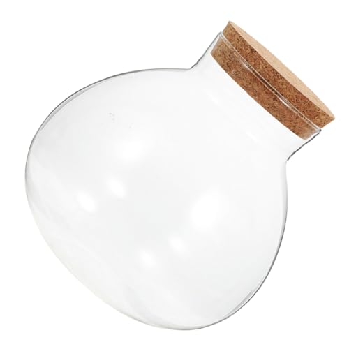 Toddmomy Sphärisches Glas Terrarium mit Korken Mikrolandschaftliches Pflanzgefäß Dekorative Ökologische Flasche für Flaschengarten Platzsparend und Transparent von Toddmomy