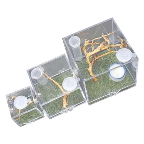Toddmomy Springspinne-Gehege 3 Stück Reptilien-Zuchtbox Acryl Mini-Spinnen-Futter-Terrarium-Gehege Transparenter Insekten- Brutbehälter Käfig- von Toddmomy