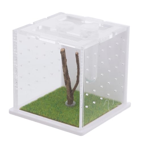 Toddmomy Springspinne Zuchtbox aus klarem Kunststoff mit Lüftung Futteröffnung und Transparentem Design Kleines Terrarium für Spinnen Insekten und Reptilien Tragbarer Behälter zur Haltung Toddmomy Springspinne Zuchtbox aus klarem Kunststoff mit Lüftung Futteröffnung und Transparentem Design Kleines Terrarium für Spinnen Insekten und Reptilien Tragbarer Behälter zur Haltung von Toddmomy
