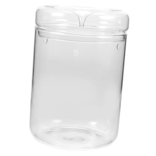 Toddmomy Terrarium Behälter für Moos Tischdeko für Pflanzen Transparente Glasvase für Landschaften für Garten von Toddmomy